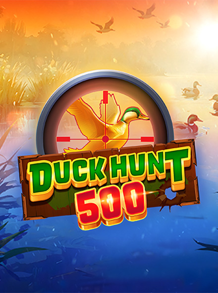 Duck Hunt 500