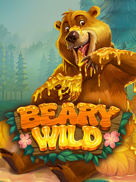Beary Wild