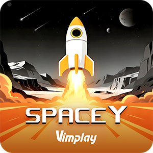 Space Y