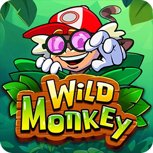 Wild Monkey