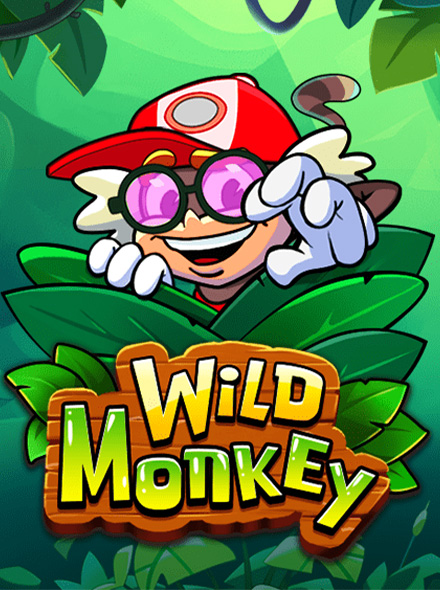 Wild Monkey