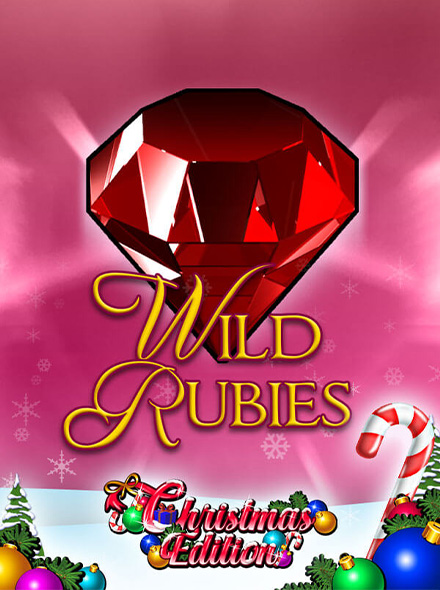 Naslovna slika za igru Wild Rubies Christmas Edition