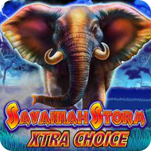 Savannah Storm Xtra Choice