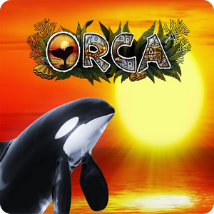 Orca