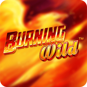 Burning Wild