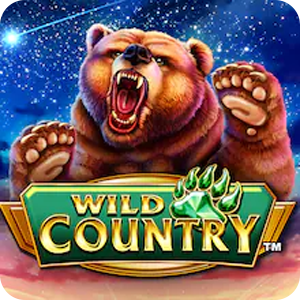 Wild Country