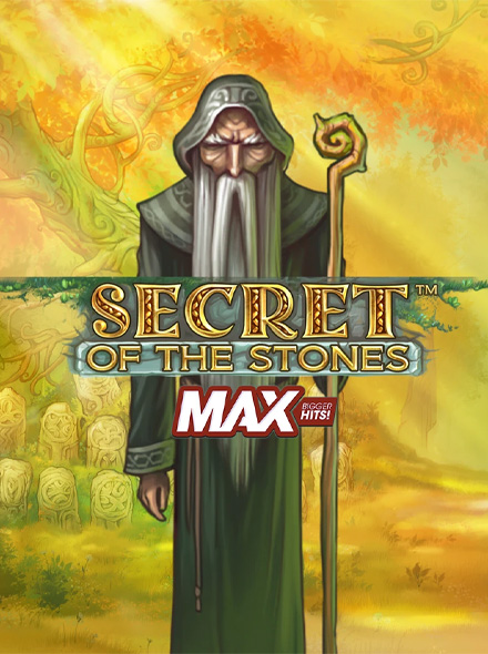 Naslovna slika za igru Secret of the Stones MAX