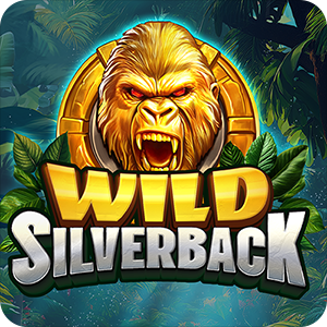 Wild Silverback