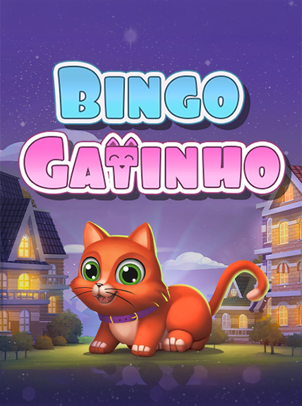 Bingo Gatinho