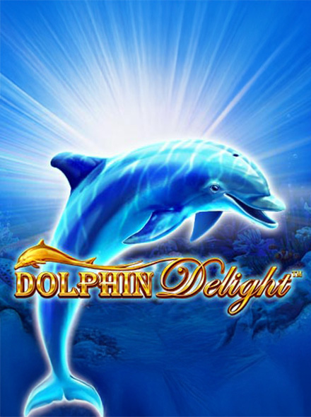 Dolphin Delight