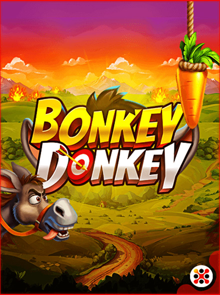 Bonkey Donkey