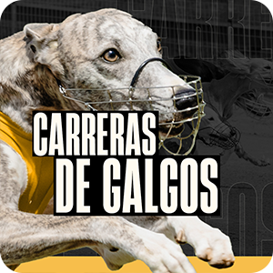 Dog 6 H.Odds On Demand