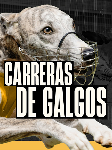 Dog 6 H.Odds On Demand