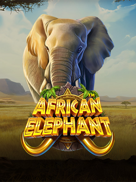 African Elephant