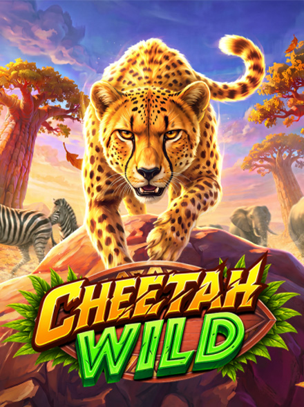 Cheetah Wild