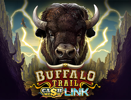Buffalo Trail – Cash Mesh LINK