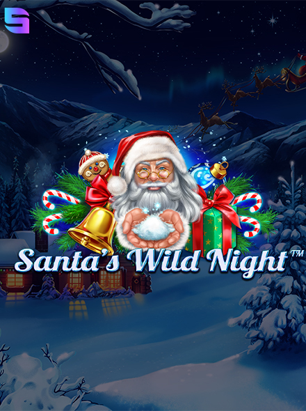 Santa’s Wild Night