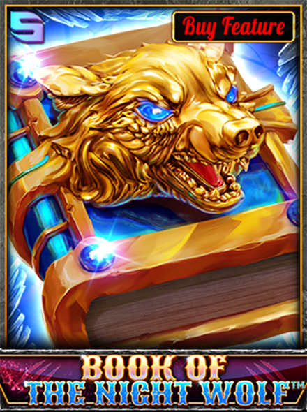 Book Of The NightWolf