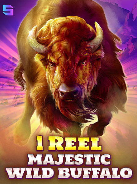 1 Reel - Majestic Wild Buffalo