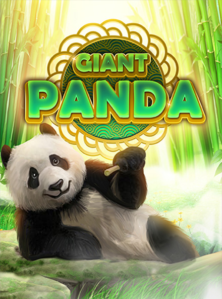 Giant Panda