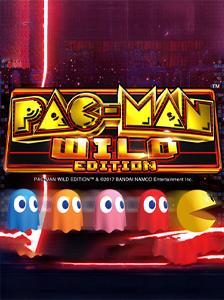 Naslovna slika za igru Pac Man Wild Edition