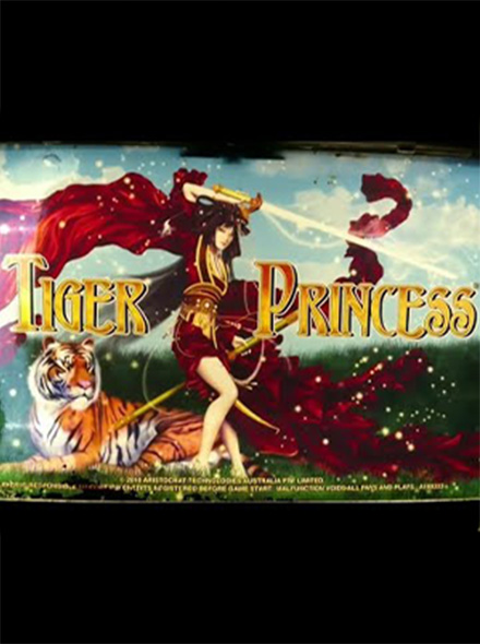 Naslovna slika za igru Tiger Princess