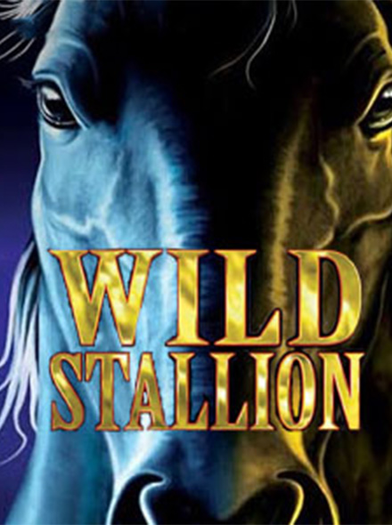 Naslovna slika za igru Wild Stallion