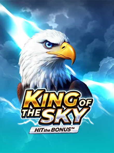 King of the Sky: Hit the Bonus