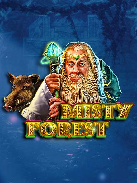 Misty Forest