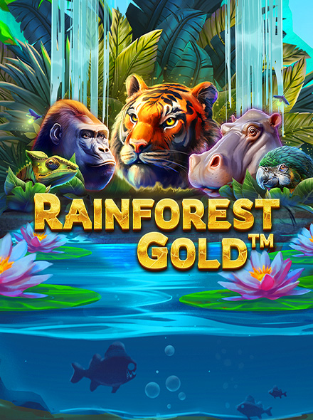 Rainforest Gold