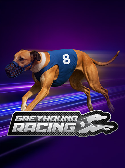 Virtual 8 Greyhounds
