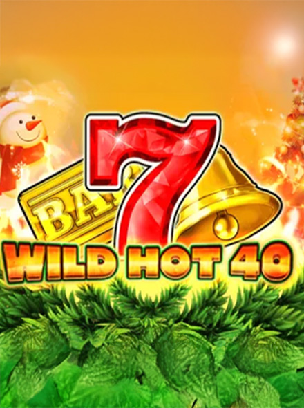 Naslovna slika za igru Wild Hot 40 Christmas