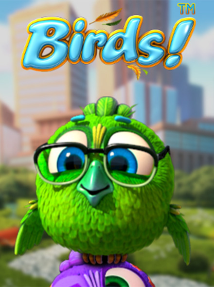Birds!