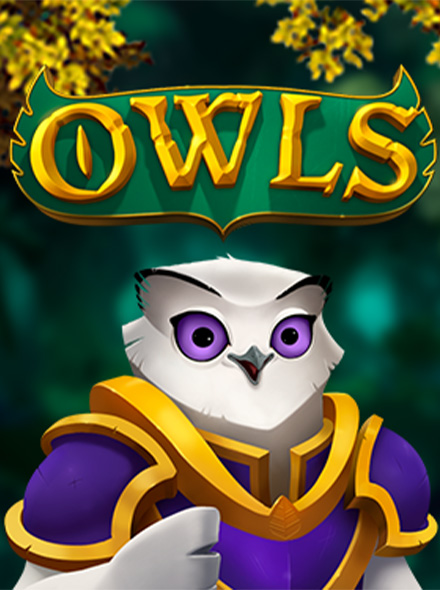 Naslovna slika za igru Owls