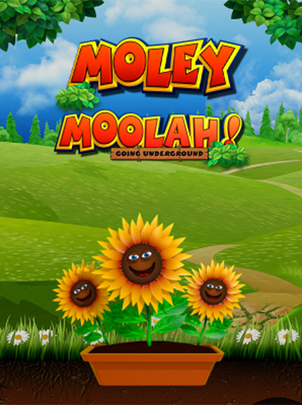 Moley Moolah Going Underground