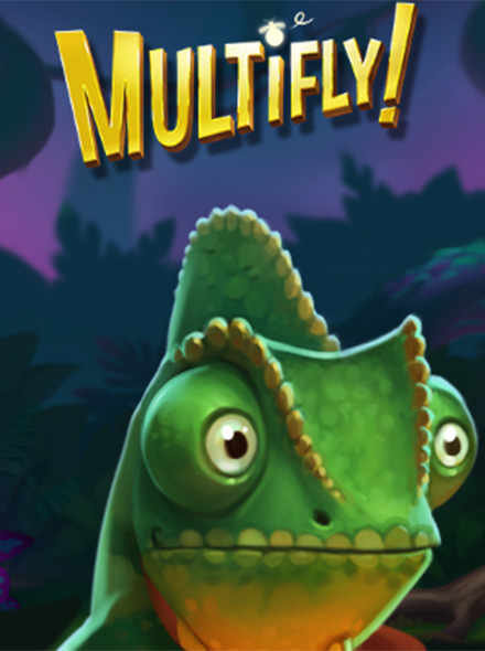 MultiFly!
