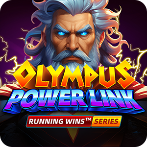 Olympus Power Link